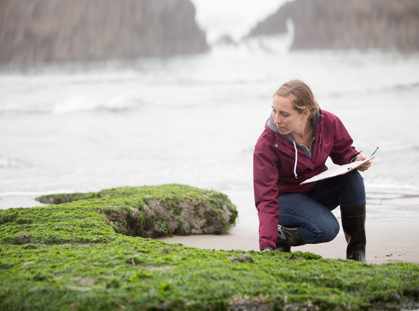Researcher kneeling on the Oregon coast