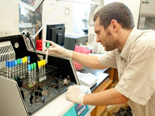 Student analyzing lab samples.