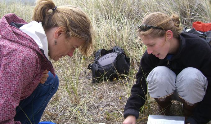 Sally Hacker and a graduate student study beach grasses along the Pacific Northwest coast