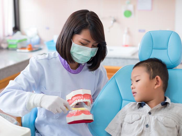 Dentist showing child a teeth model.