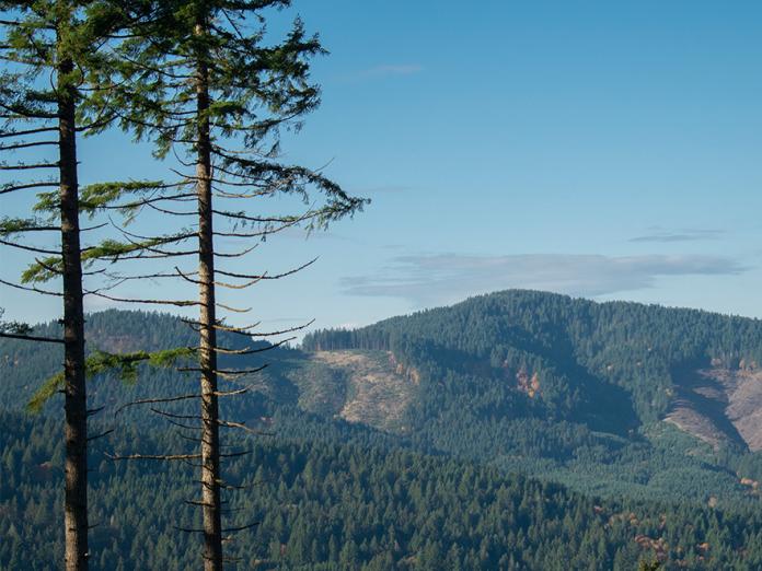 View of the Oregon hills seen from the McDonald Saddle trail.