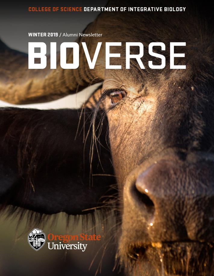 A closeup image of an African Water Buffalo with the publication title overlayed: Bioverse Spring 2019
