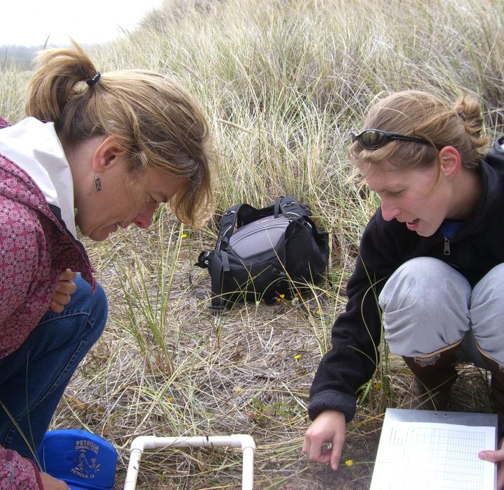 Sally Hacker and a graduate student study beach grasses along the Pacific Northwest coast